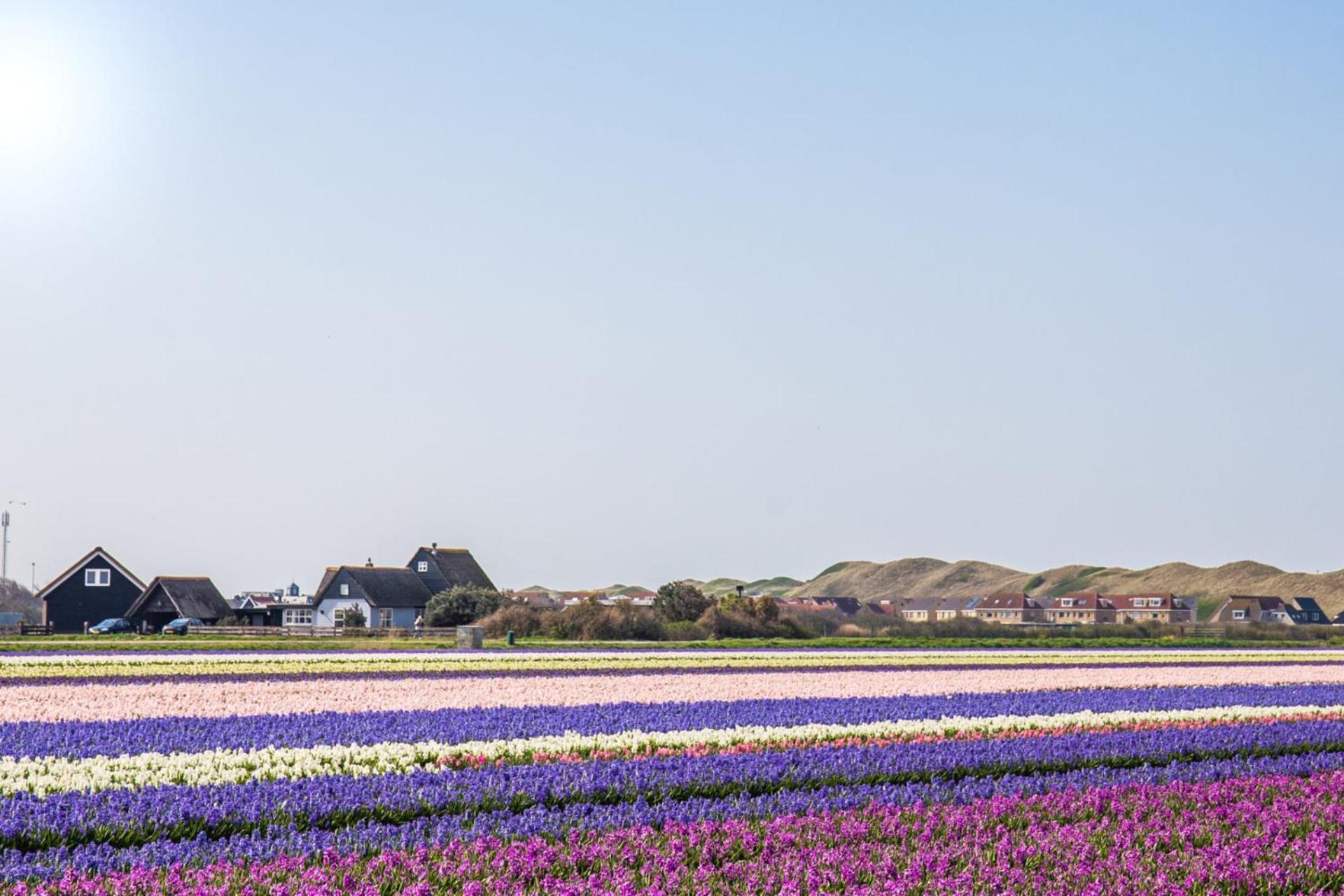 Beach Appartement 27 - Aan De Duinen, Callantsoog Aan Zee Luaran gambar
